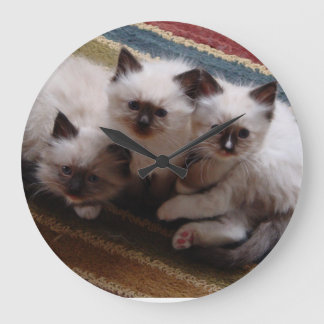 Horloge de chatons de Ragdoll