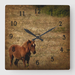 Horloge de cheval sauvage