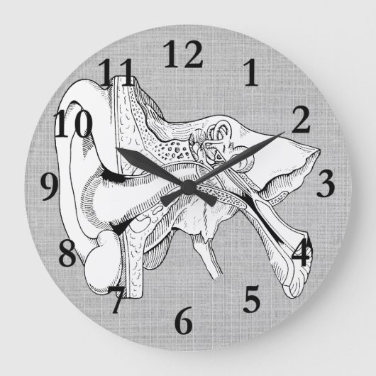 HORLOGE DE CRU D'ANATOMIE D'OREILLE (Recto)