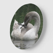 Horloge de cygne endormie (Angle)