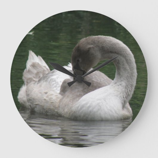 Horloge de cygne endormie (Recto)