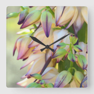 horloge de fleurs yucca