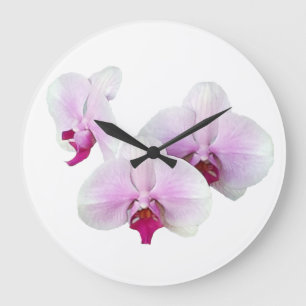 Horloge de flottement d'orchidées