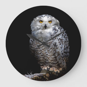 Horloge de hibou de Milou