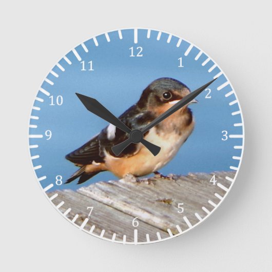 Horloge de la grange Swallow (Recto)