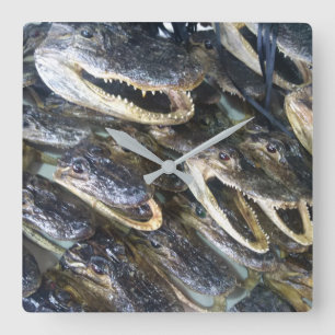 Horloge de la tête de Gator