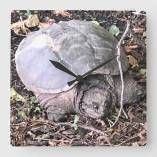 Horloge de la tortue