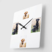 Horloge de Labrador (Angle)