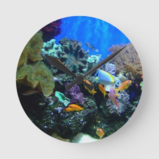 Horloge de l'aquarium du poisson (Recto)