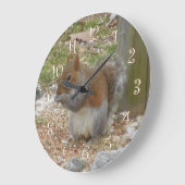 Horloge de l'écureuil (Angle)