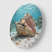 Horloge de mer (Angle)