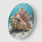 Horloge de mer (Angle)