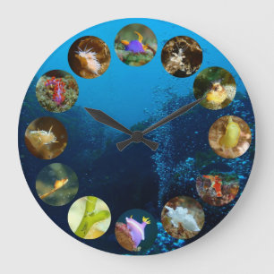Horloge de Nudibranch