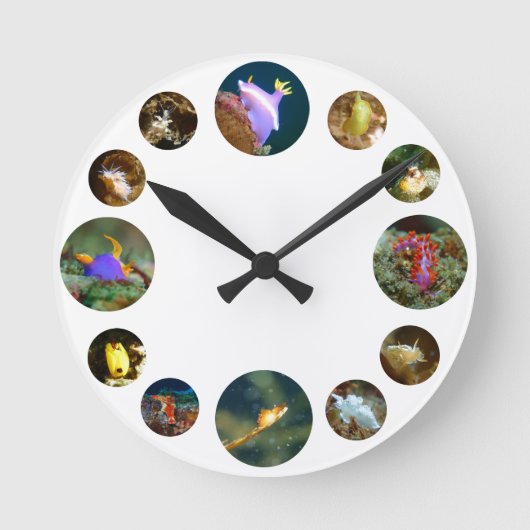 Horloge de Nudibranch (Recto)