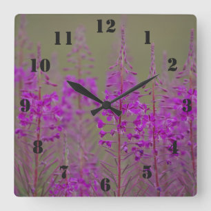 Horloge de Rosebay Willowherb