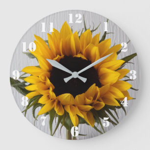 Horloge de tournesol