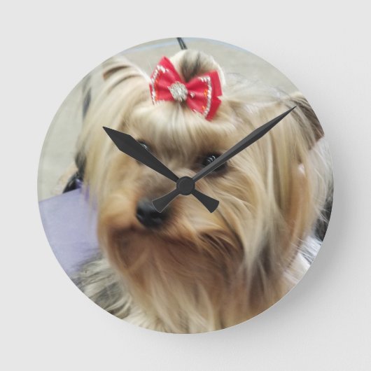 Horloge de Yorkshire Terrier (Recto)