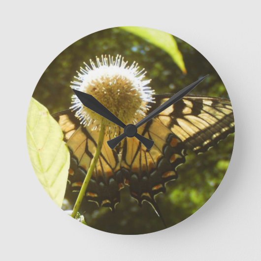 Horloge des fleurs du monarque de juin (Recto)