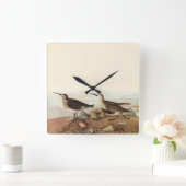 Horloge des oiseaux côtiers (Maison)