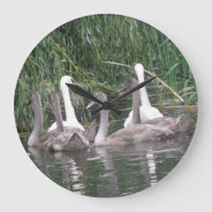 Horloge des SW et des Cygnets