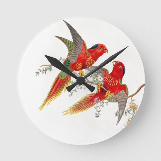 Horloge d'oiseaux de Goulds Lorikeet (Recto)