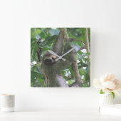 Horloge du fentes (Maison)