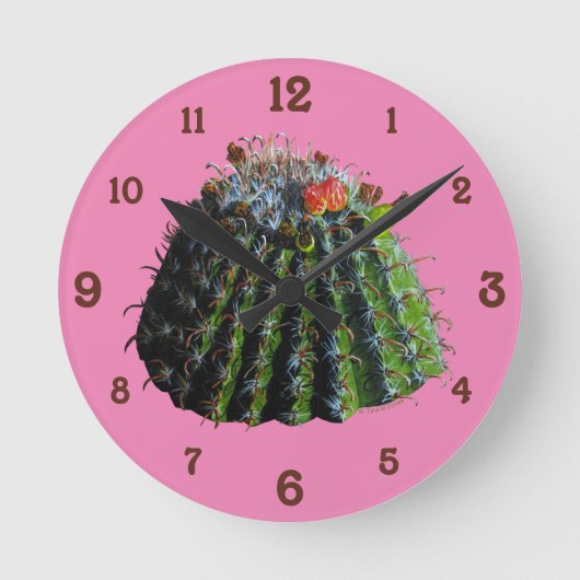 Horloge du mur acrylique du cactus (Recto)