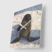 Horloge du phoque (Angle)