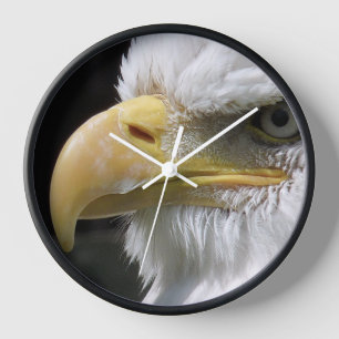HORLOGE EAGLE BIRD OF PREY