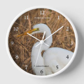 Horloge Elégant Oiseau d'écharpe d'aigrettes dans les rose (Recto)