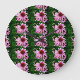 horloge en échinacée rose
