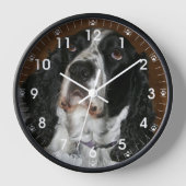 Horloge English Springer Spaniel Pet Photo (Recto)