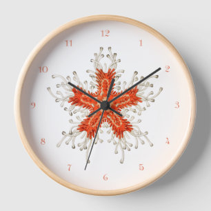 Horloge Estarfish vintage Mur