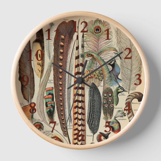 Horloge Feather Bird Wildlife Plumes d'antiquités (Recto)