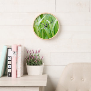 Horloge Feuilles fraîches de plante verte