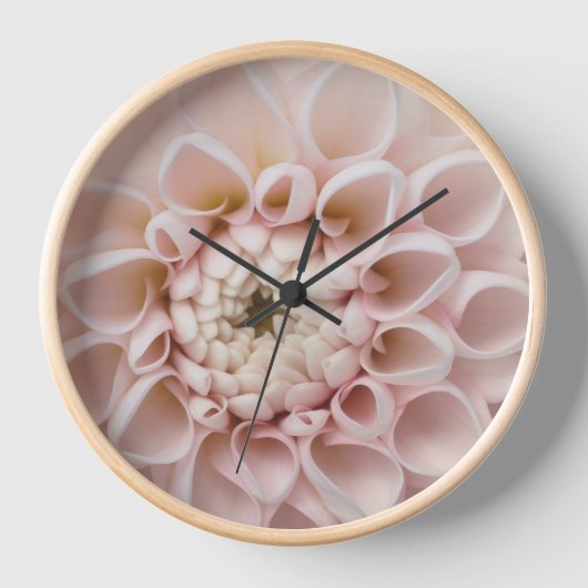Horloge fleur (Recto)