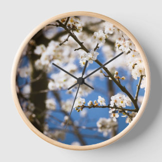 Horloge Fleur blanche fond de ciel bleu