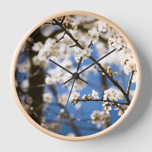 Horloge Fleur blanche fond de ciel bleu (Recto)
