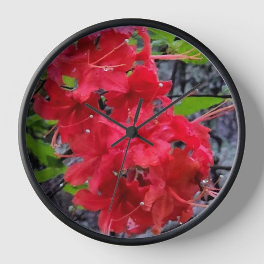 Horloge Fleurs de l'Azalée Rouge (Recto)