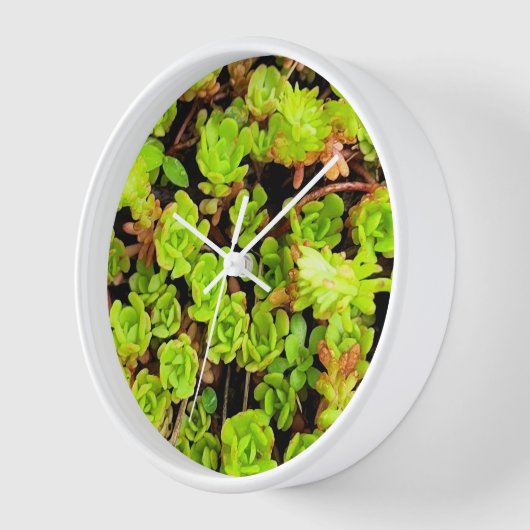 Horloge Fleurs vertes Succulentes (Angle)