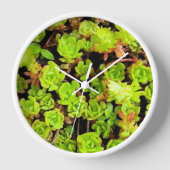Horloge Fleurs vertes Succulentes (Recto)