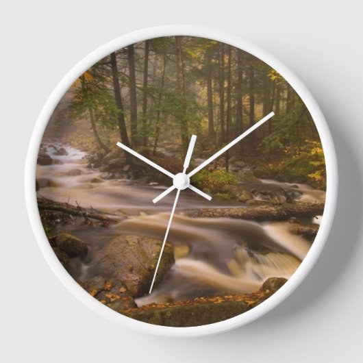 Horloge Flux Flux Sentier Appalachien | Vermont (Recto)
