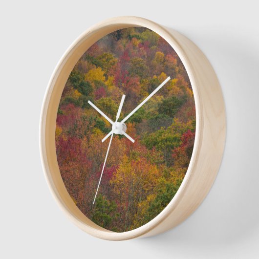 Horloge Forêt de feuillus dans le comté de Randolph, Virgi (Angle)
