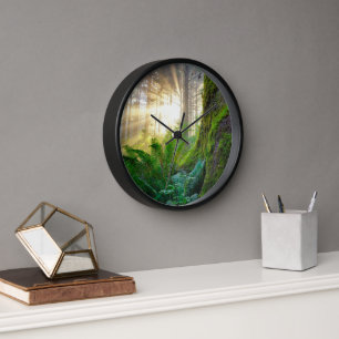 Horloge Forêt de la côte pacifique, Oregon