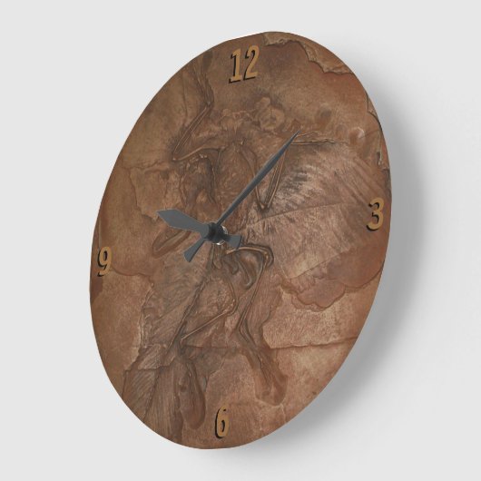 Horloge - fossile d'archéoptéryx (Angle)