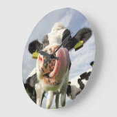 Horloge funeste de la vache (Angle)