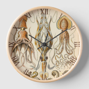 Horloge Gamochonia de calmar de poulpe par Ernst Haeckel