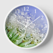 Horloge Graines de Dandelion avec Droplets de Dew (Recto)