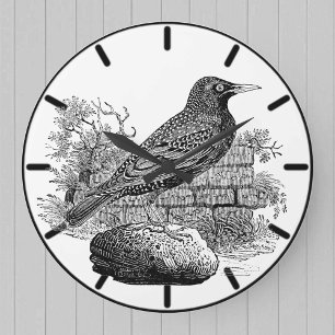 Horloge grande de l'étourneau oiseau britannique