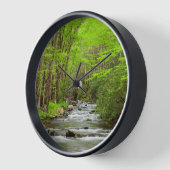 Horloge Great Smoky Mountains National Park Caroline du No (Angle)